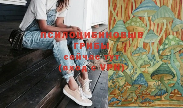 молекула духа Алексин