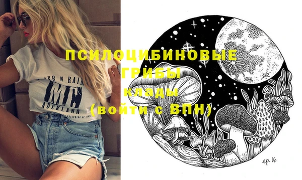 дмт Алексеевка