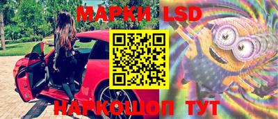 стафф Кимры