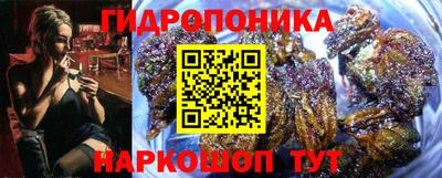 стафф Кимры
