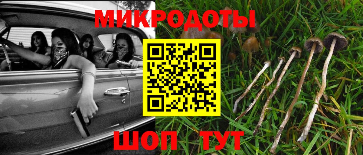 Псилоцибиновые грибы MAGIC MUSHROOMS  Псилоцибиновые грибы MAGIC MUSHROOMS  Кудрово  Вход с VPN 