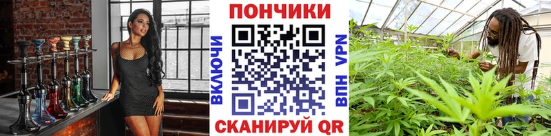 купить   МЕГА tor  Бошки Шишки планчик  Кудрово 